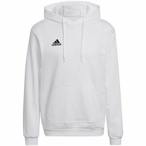 Melegítő kabátok adidas adidas Entrada 22 Sweat Hoodie kép