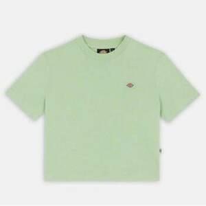 Pólók / Galléros Pólók Dickies OAKPORT BOXY TEE SS W kép