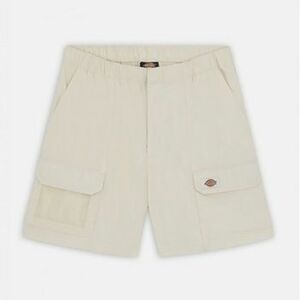 Nadrágok Dickies FISHERVILLE SHORT kép