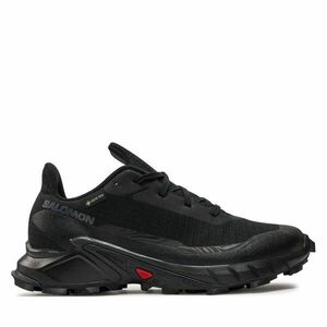 Futócipő Salomon Alphacross 5 Gore-Tex L47310900 Fekete kép