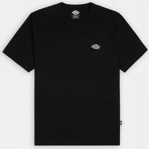 Pólók / Galléros Pólók Dickies Summerdale tee ss kép