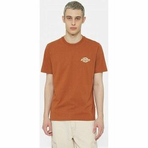 Pólók / Galléros Pólók Dickies Ss ruston tee kép