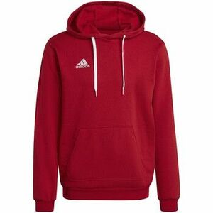 Melegítő kabátok adidas adidas Entrada 22 Sweat Hoodie kép