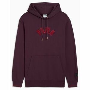 Pulóverek Puma CLASSICS PLAY PARIS HOODIE kép