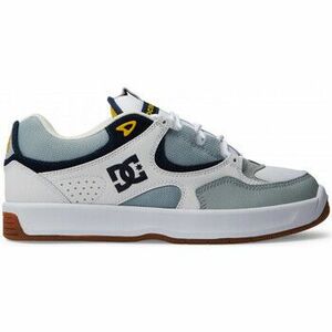 Deszkás cipők DC Shoes Kalynx zero kép