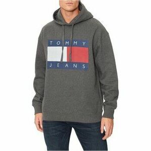 Pulóverek Tommy Jeans DM0DM20591 kép