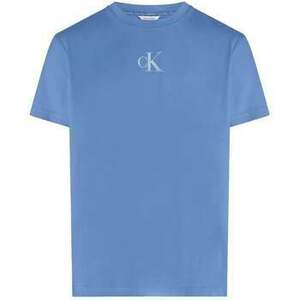 Pólók / Galléros Pólók Calvin Klein Jeans Graphic Print Crew T-Shirt Glacier kép