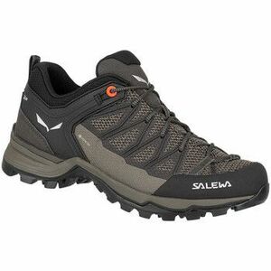 Túracipők Salewa Mtn Trainer Lite Gtx kép