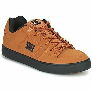 Rövid szárú edzőcipők DC Shoes PURE WNT kép