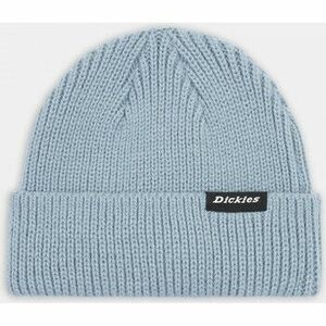 Baseball sapkák Dickies Woodworth beanie kép