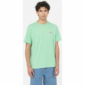 Pólók / Galléros Pólók Dickies Ss mapleton t-shirt kép