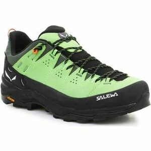 Túracipők Salewa Alp Trainer 2 Gore-Tex® Men's Shoe 61400-5660 kép