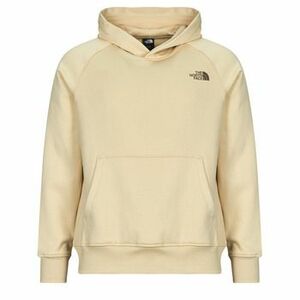 Pulóverek The North Face Raglan Box Nse Hoodie kép