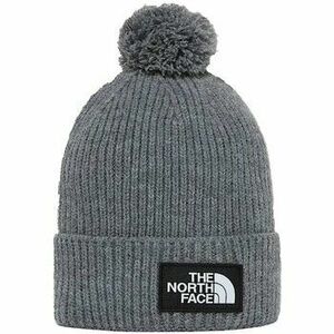 Baseball sapkák The North Face NF0A3FN3 kép