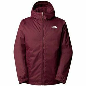 Dzsekik The North Face NF00C302 kép