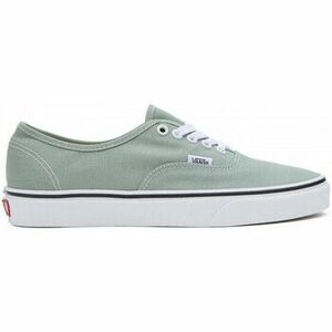 Deszkás cipők Vans Authentic kép