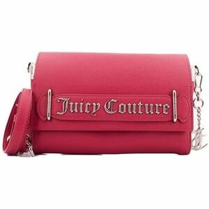 Táskák Juicy Couture JASMINE CLUTCH kép