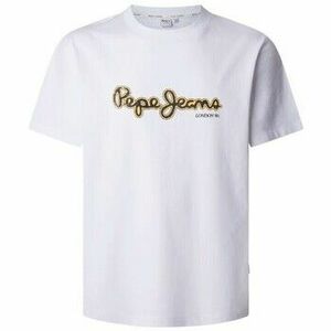 Rövid ujjú pólók Pepe jeans PM509721 DORIAN TEE kép