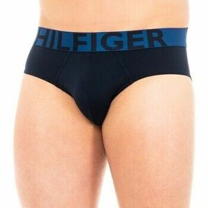 Alsónadrágok Tommy Hilfiger 1U87905329-416 kép