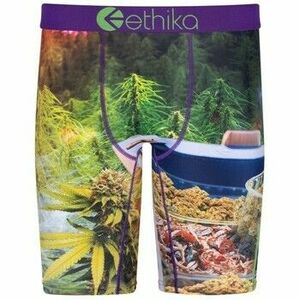 Boxerek Ethika - kép