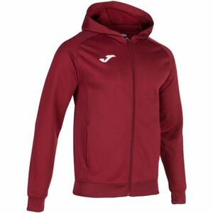 Melegítő kabátok Joma Menfis Hoodie kép