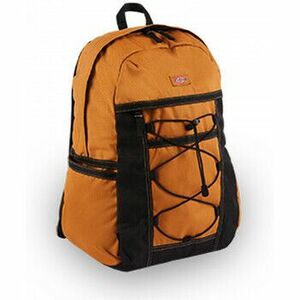 Táskák Dickies Ashville backpack kép