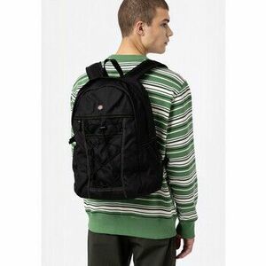 Táskák Dickies Ashville backpack kép