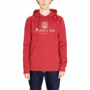 Pulóverek Aquascutum ACTIVE COTTON BIG LOGO HOODIE FLEECE AA_SS23_SW005 kép