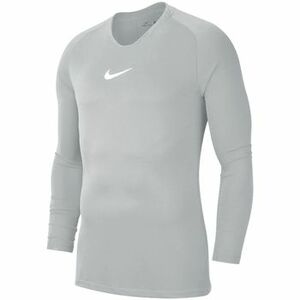 Hosszú ujjú pólók Nike Dry Park First Layer Longsleeve kép