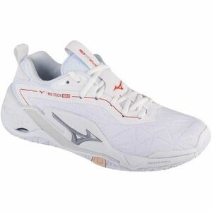 Fedett pályás sport Mizuno Wave Stealth Neo II kép