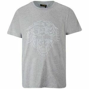 Rövid ujjú pólók Ed Hardy Tiger glow t-shirt mid-grey kép