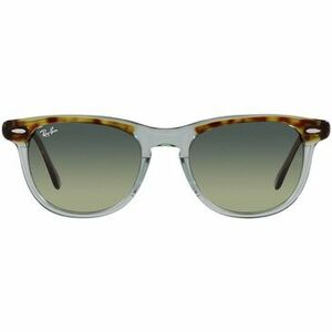 Napszemüvegek Ray-ban Occhiali da Sole Eagleeye RB2398 1376BH kép