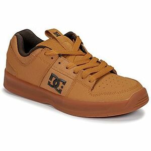 Rövid szárú edzőcipők DC Shoes LYNX ZERO kép