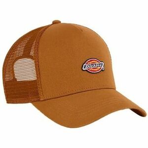 Baseball sapkák Dickies HANSTON TRUCKER DUCK kép