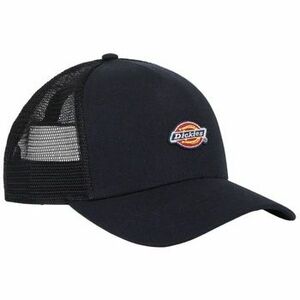 Baseball sapkák Dickies HANSTON TRUCKER kép