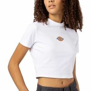 Pólók / Galléros Pólók Dickies MAPLE VALLEY REG TEE kép