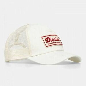 Baseball sapkák Dickies Lewistown trucker kép