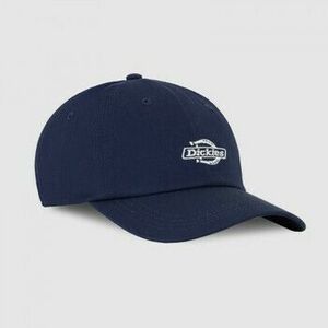 Baseball sapkák Dickies Essential dad cap kép