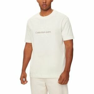 Hosszú ujjú galléros pólók Calvin Klein Jeans CHENILLE MONOLOGO TE J30J326158 kép