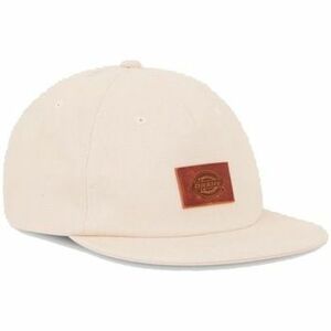 Baseball sapkák Dickies RIVER RANCH CAP WHITEC kép