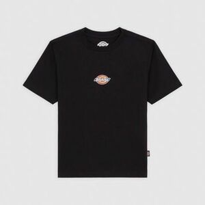 Pólók / Galléros Pólók Dickies MAPLE VALLEY REG TEE kép