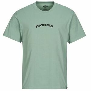 Rövid ujjú pólók Dickies DICKIES OUTDOOR SS TEE kép