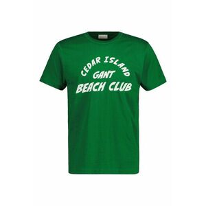 PÓLÓ GANT CEDAR GRAPHIC T-SHIRT LAVISH GREEN kép