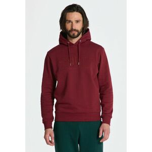 MELEGÍTŐ FELSŐ GANT REG TONAL SHIELD HOODIE PLUMPED RED kép