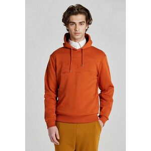 MELEGÍTŐ FELSŐ GANT REG TONAL SHIELD HOODIE DARK TERRACOTTA kép