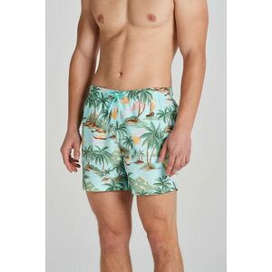 FÜRDŐRUHA GANT HAWAII PRINT SWIM SHORTS TURQUOISE MIST kép