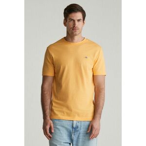 PÓLÓ GANT SMALL STRIPE T-SHIRT DAFFODIL YELLOW kép