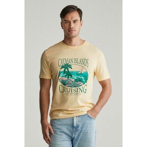 PÓLÓ GANT PLACED GRAPHIC TSHIRT DUSTY LIGHT YELLOW kép