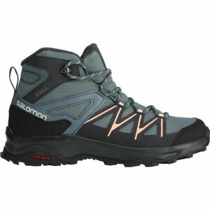 Salomon DAINTREE MID GTX W Női túracipő, szürke, méret 38 2/3 kép