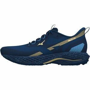 Mizuno WAVE RIDER TT 2 Férfi futócipő, kék, méret 44.5 kép